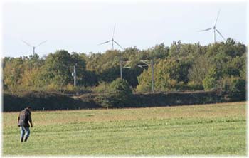 Elevage du CLOS DE LA LUETTE - COPYRIGHT DEPOSE